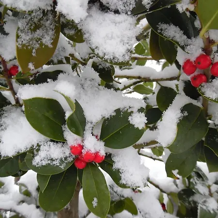 Archontiko Xantha 3*