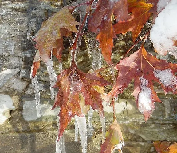 Archontiko Xantha Pensjonat 3*