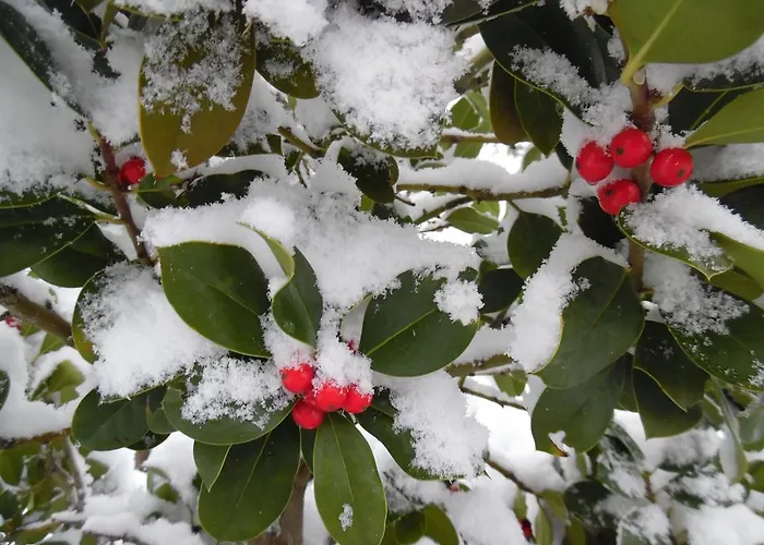 Archontiko Xantha 3*